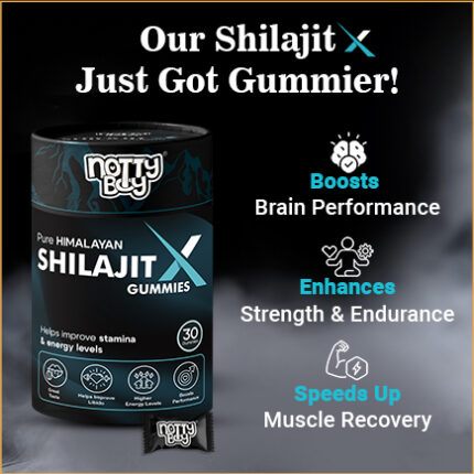 Shilajit gummies